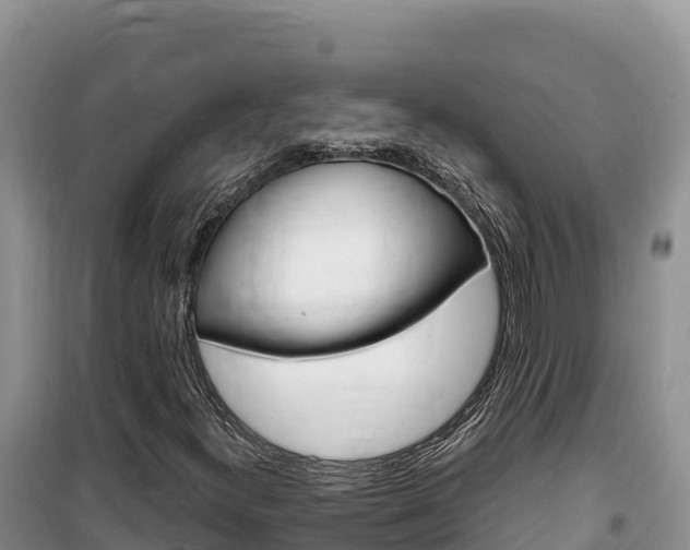 X0000100201300200805300738