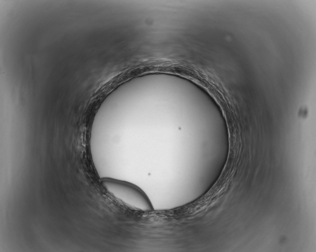 X0000100201301200805300738
