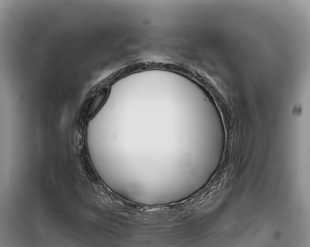 X0000100201303200805300738