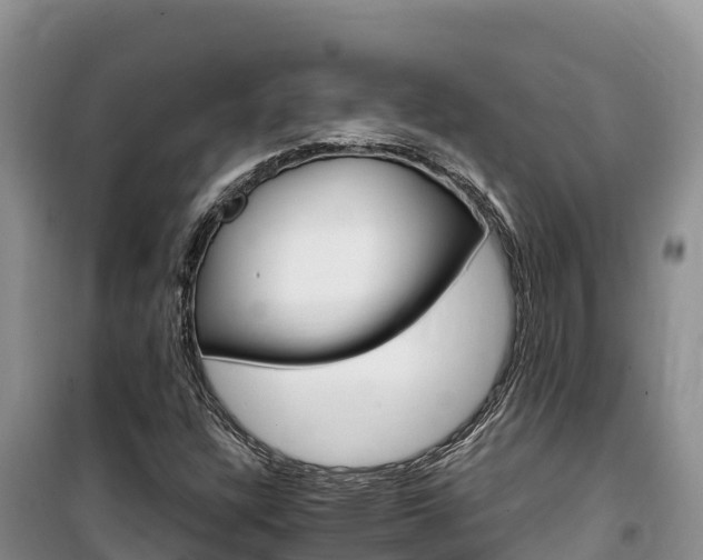 X0000100201304200805300738