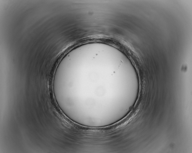 X0000100201305200805300738