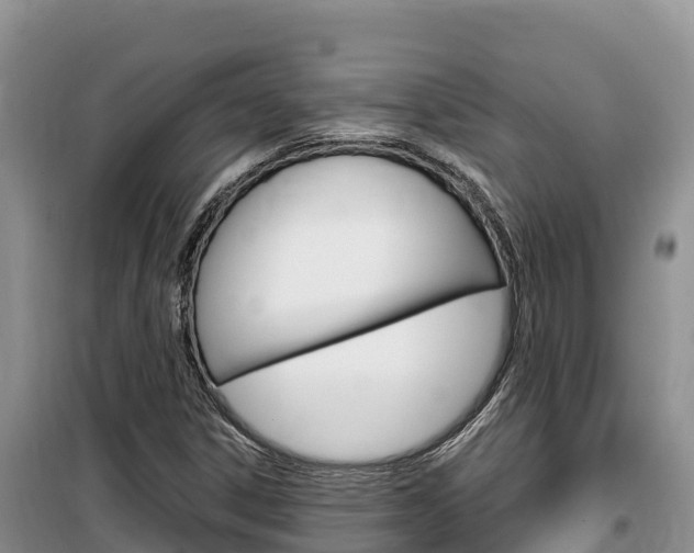 X0000100201306200805300738