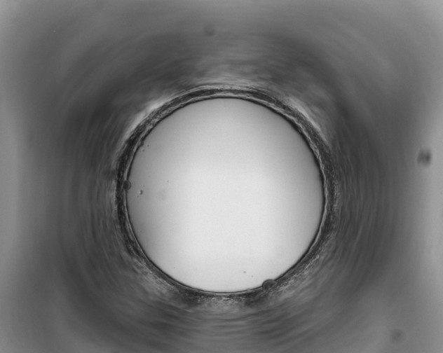 X0000100201307200805300738