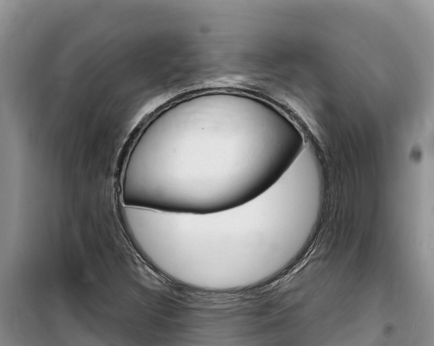 X0000100201308200805300738