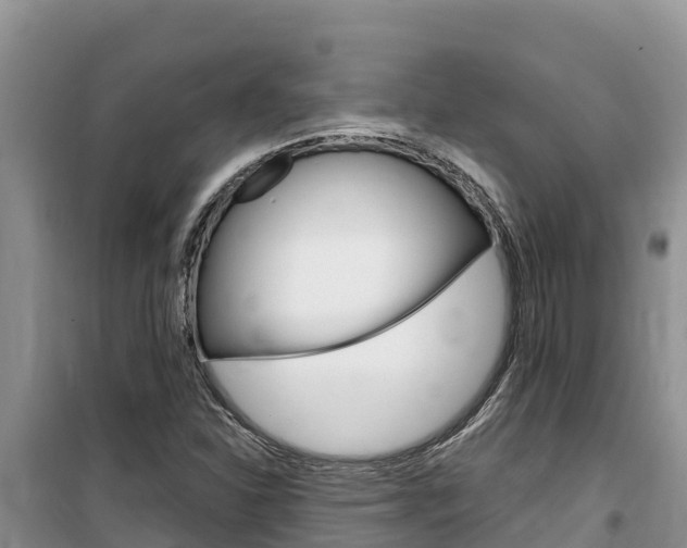 X0000100201310200805300738