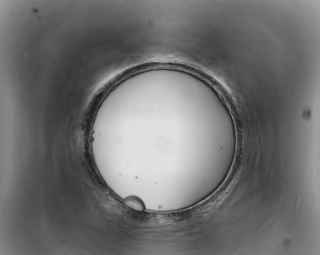 X0000100201311200805300738