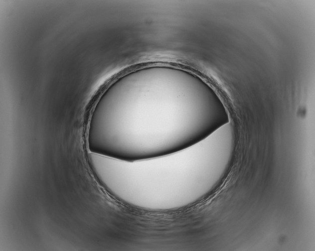 X0000100201312200805300738