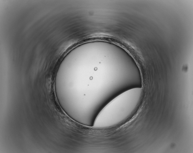 X0000100201313200805300738