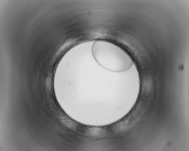 X0000100201314200805300738