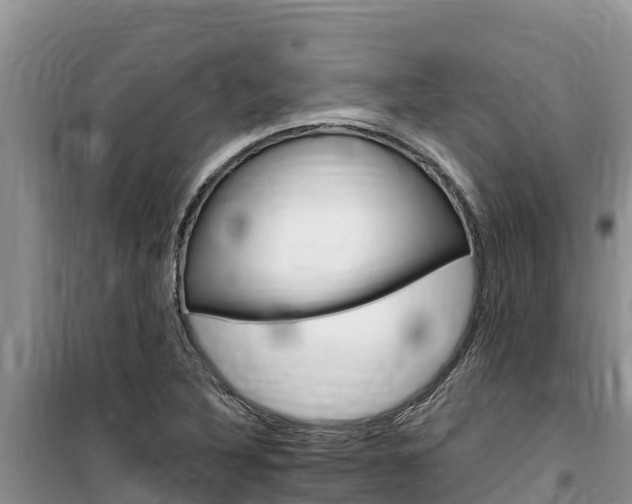 X0000100201316200805300738