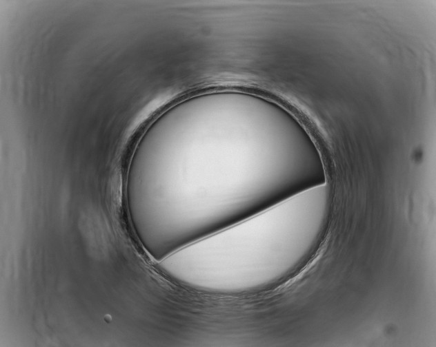 X0000100201317200805300738