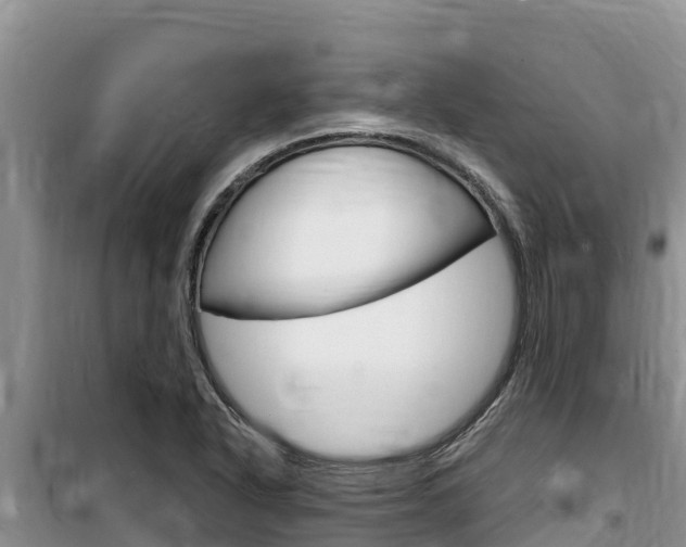 X0000100201318200805300738
