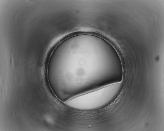 X0000100201319200805300738