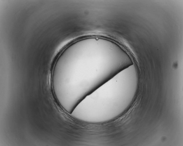 X0000100201320200805300738