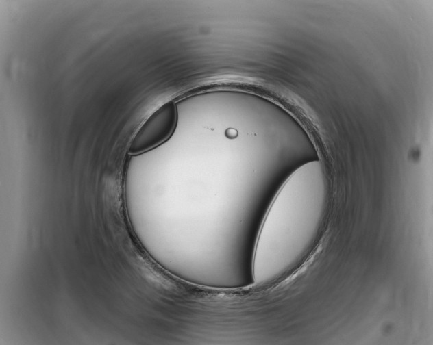 X0000100201321200805300738