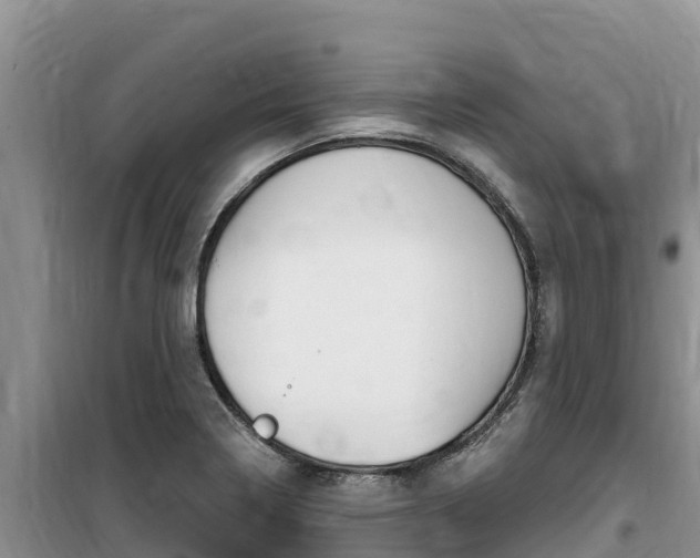 X0000100201322200805300738