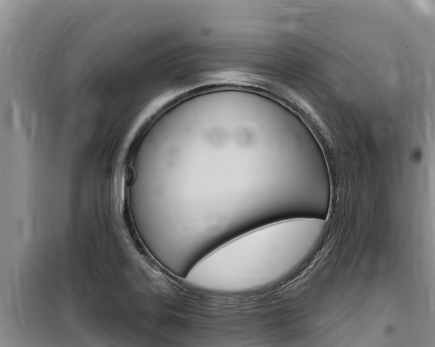 X0000100201323200805300738