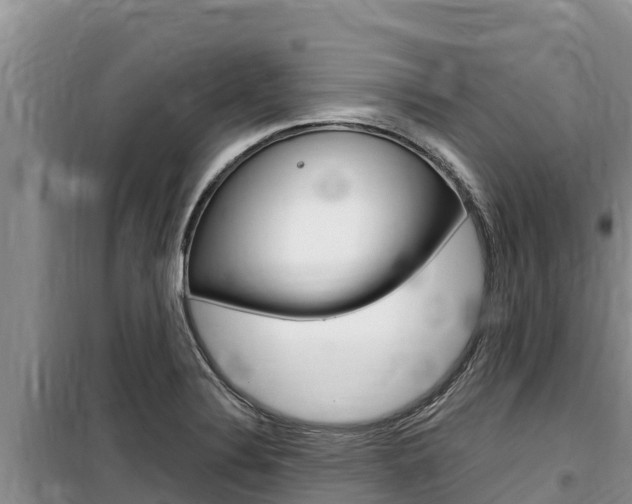 X0000100201324200805300738