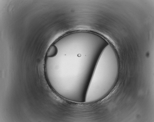 X0000100201325200805300738