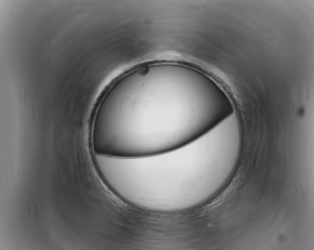 X0000100201326200805300738