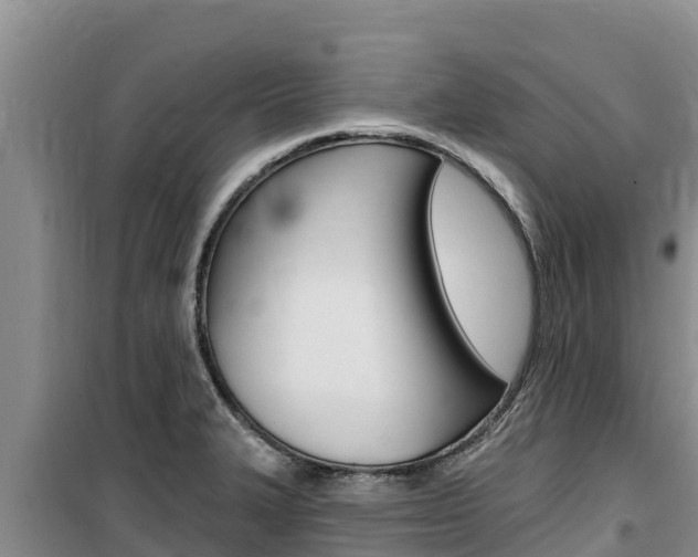 X0000100201327200805300738