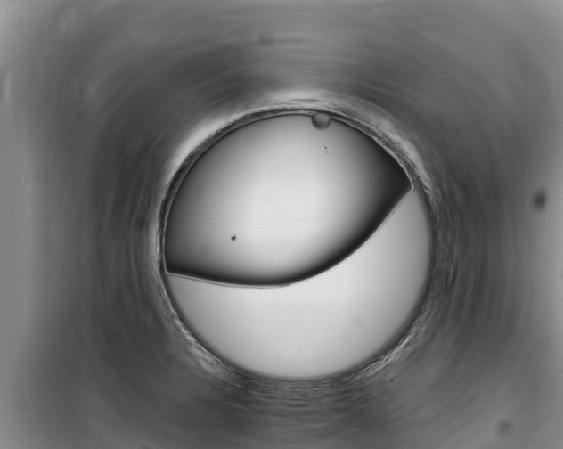 X0000100201328200805300738