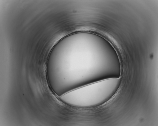 X0000100201329200805300738
