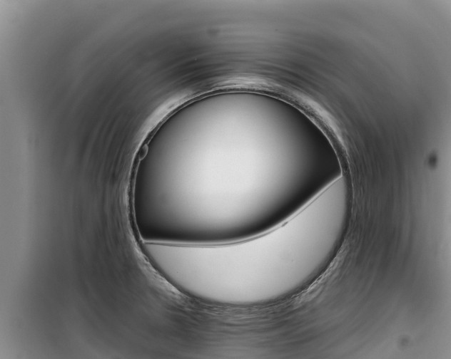 X0000100201330200805300738