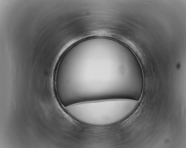 X0000100201331200805300739