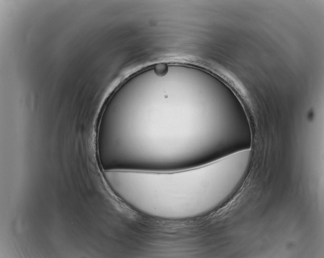 X0000100201332200805300739