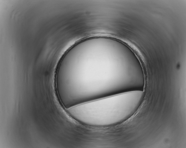 X0000100201333200805300739