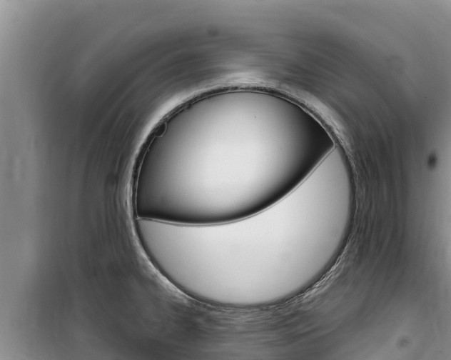 X0000100201334200805300739