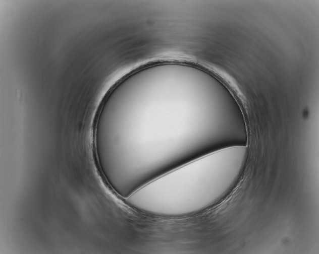 X0000100201335200805300739