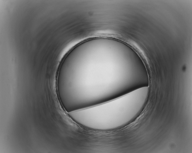 X0000100201336200805300739