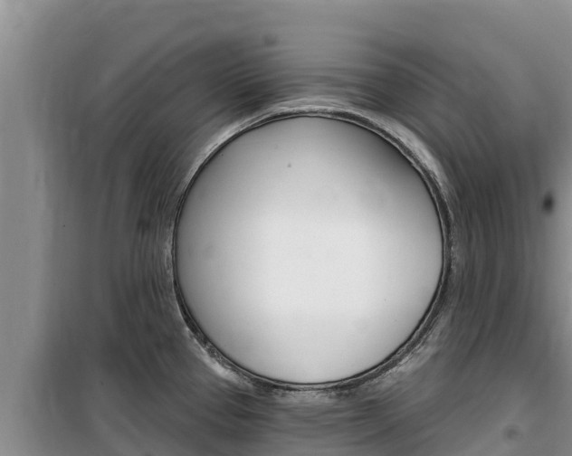 X0000100201337200805300739