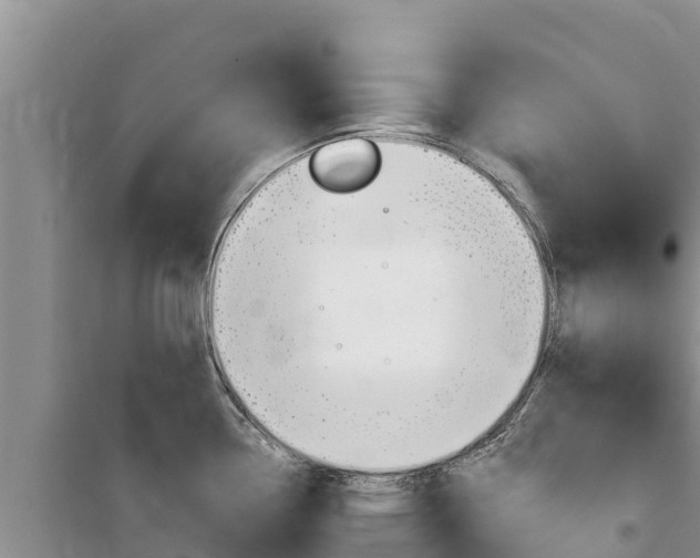 X0000100201338200805300739