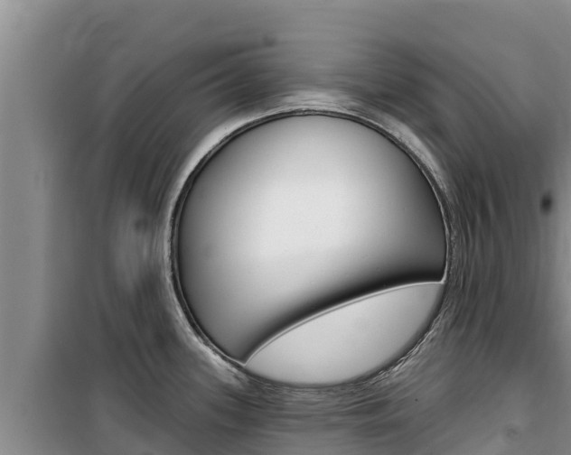 X0000100201339200805300739