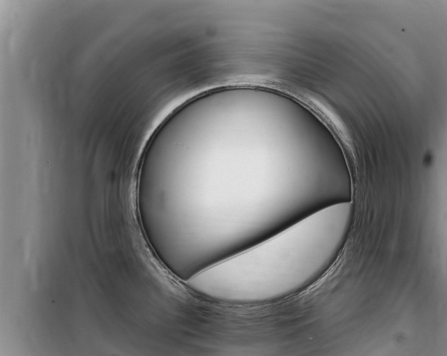 X0000100201340200805300739