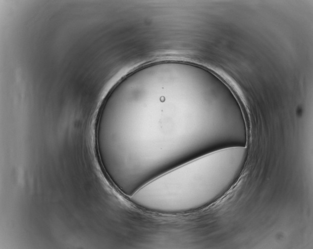 X0000100201341200805300739