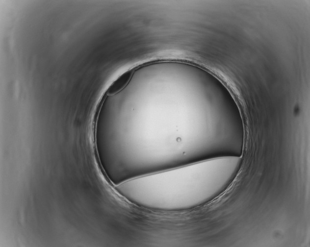 X0000100201342200805300739