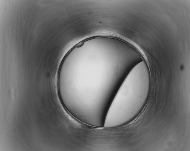 X0000100201343200805300739