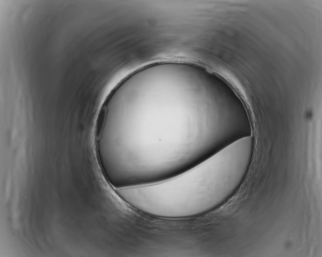 X0000100201344200805300739