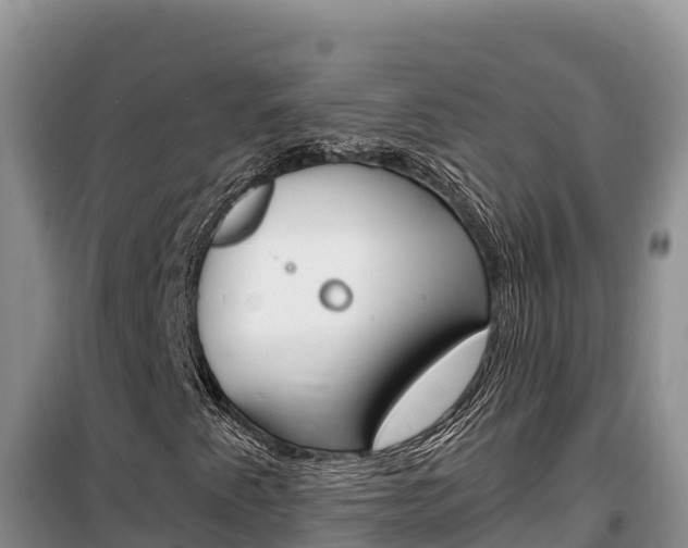X0000100201345200805300738