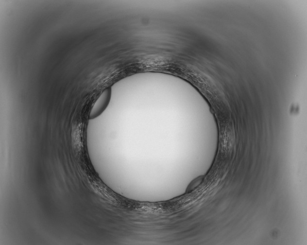 X0000100201346200805300738