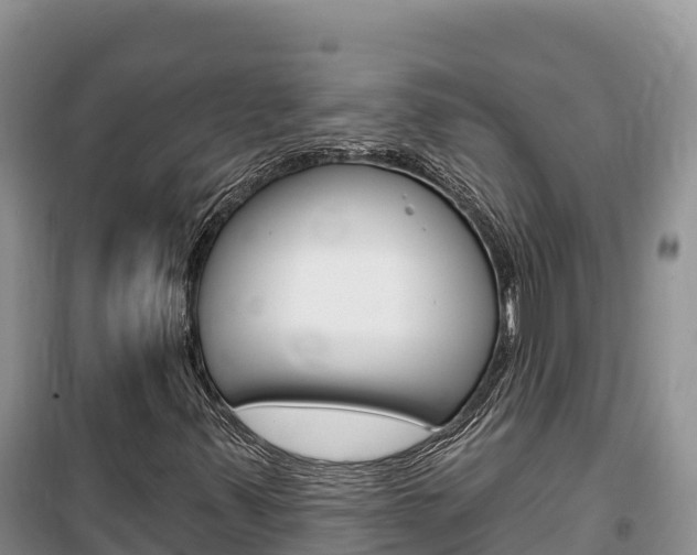 X0000100201347200805300738