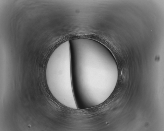 X0000100201348200805300738