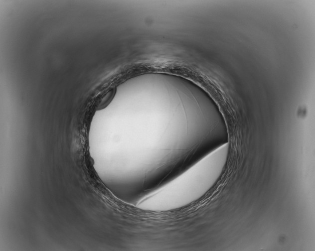 X0000100201349200805300738