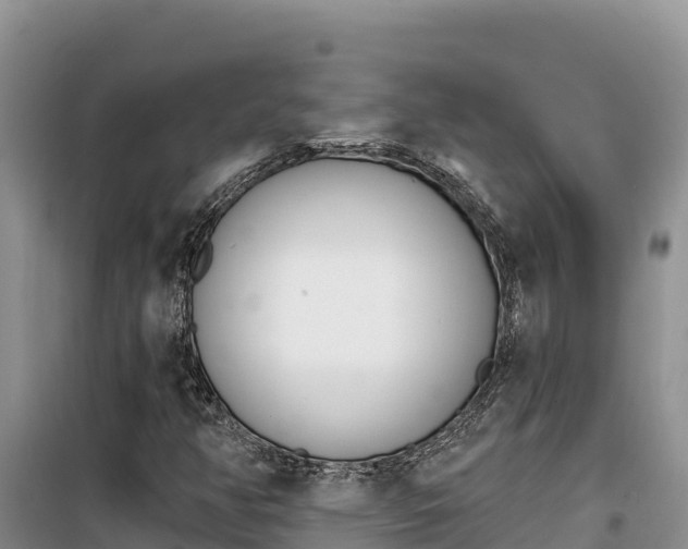X0000100201350200805300738