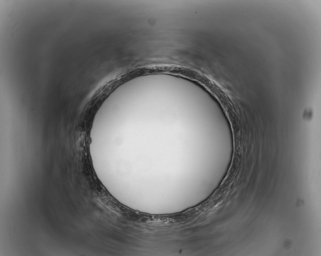 X0000100201351200805300738