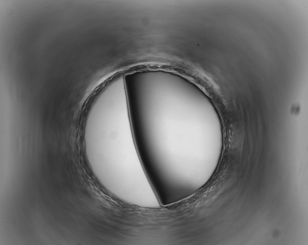 X0000100201352200805300738